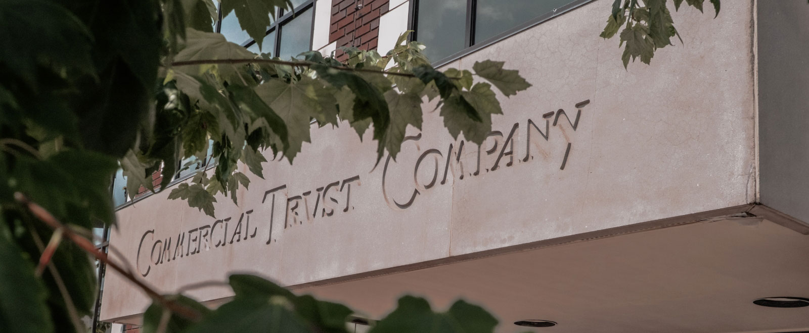 sign with leaves all around it