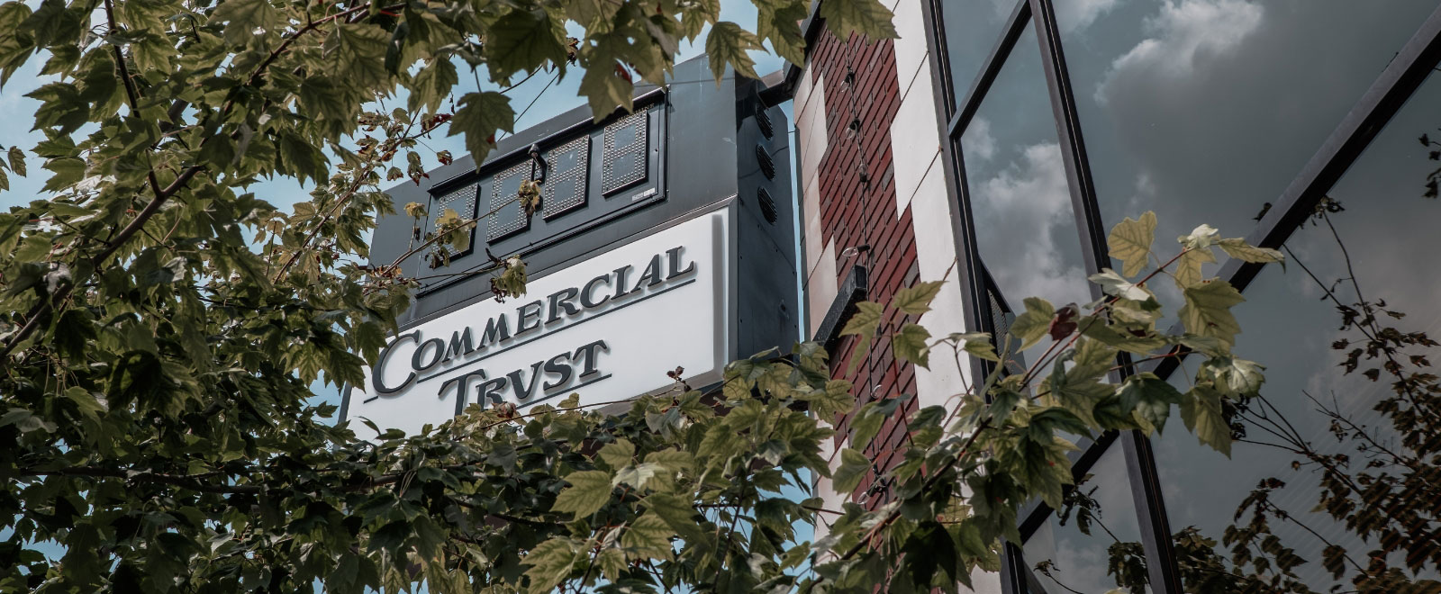 sign of bank with leaves all around