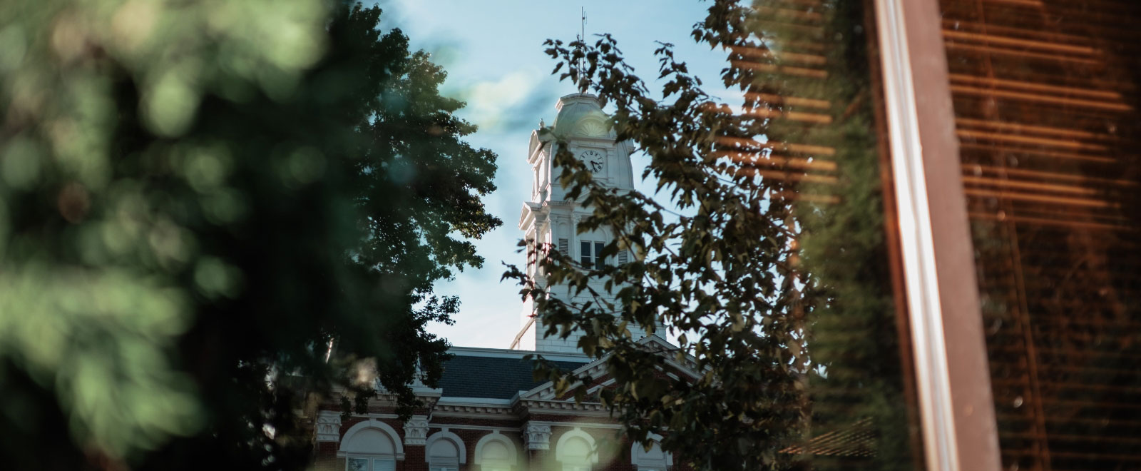 reflection of building and trees